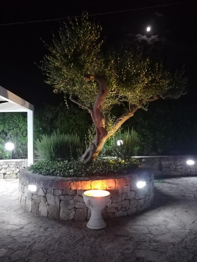 Pensjonat Trullo Monte Del Sale Alberobello Zewnętrze zdjęcie