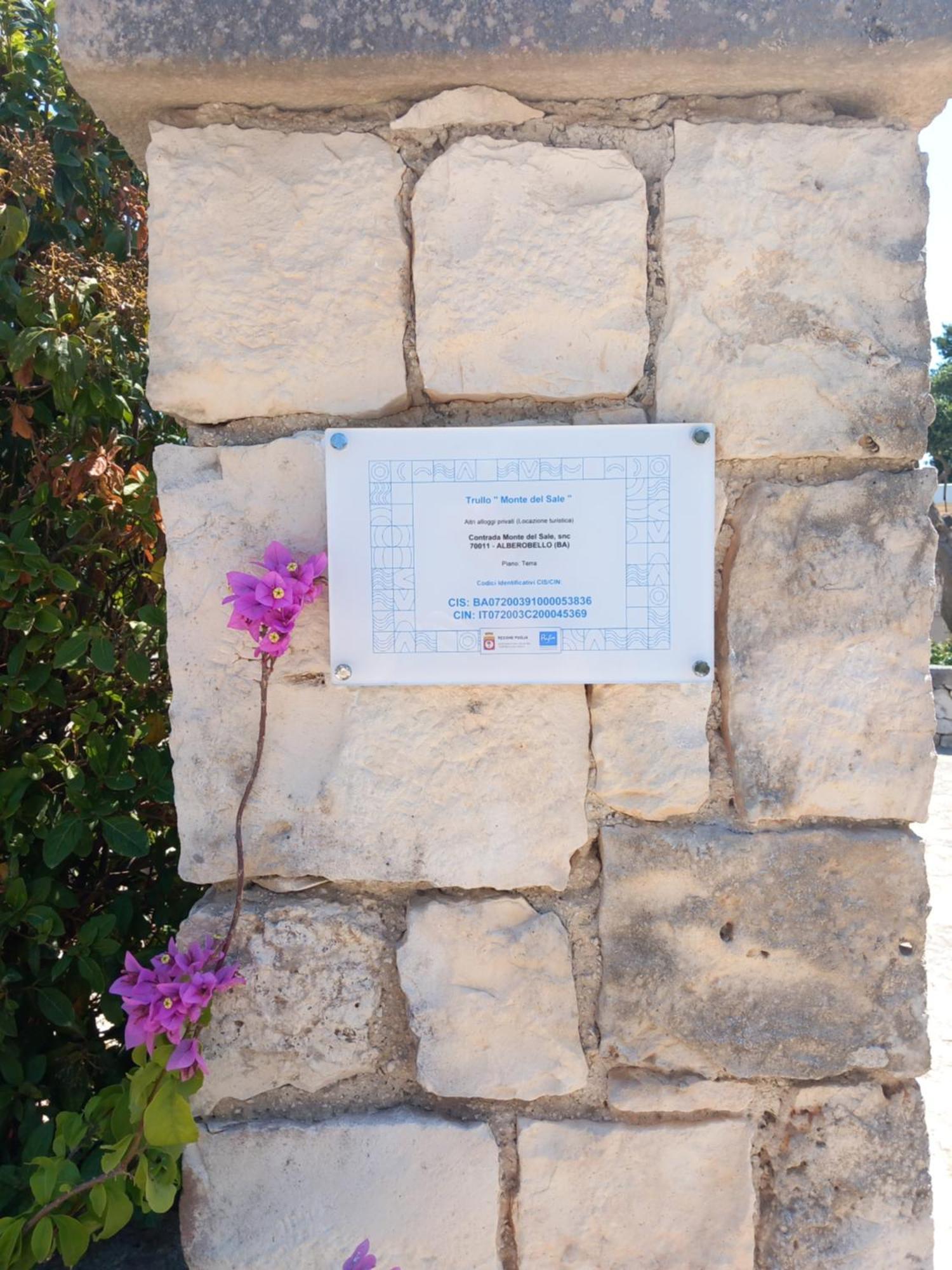 Pensjonat Trullo Monte Del Sale Alberobello Zewnętrze zdjęcie