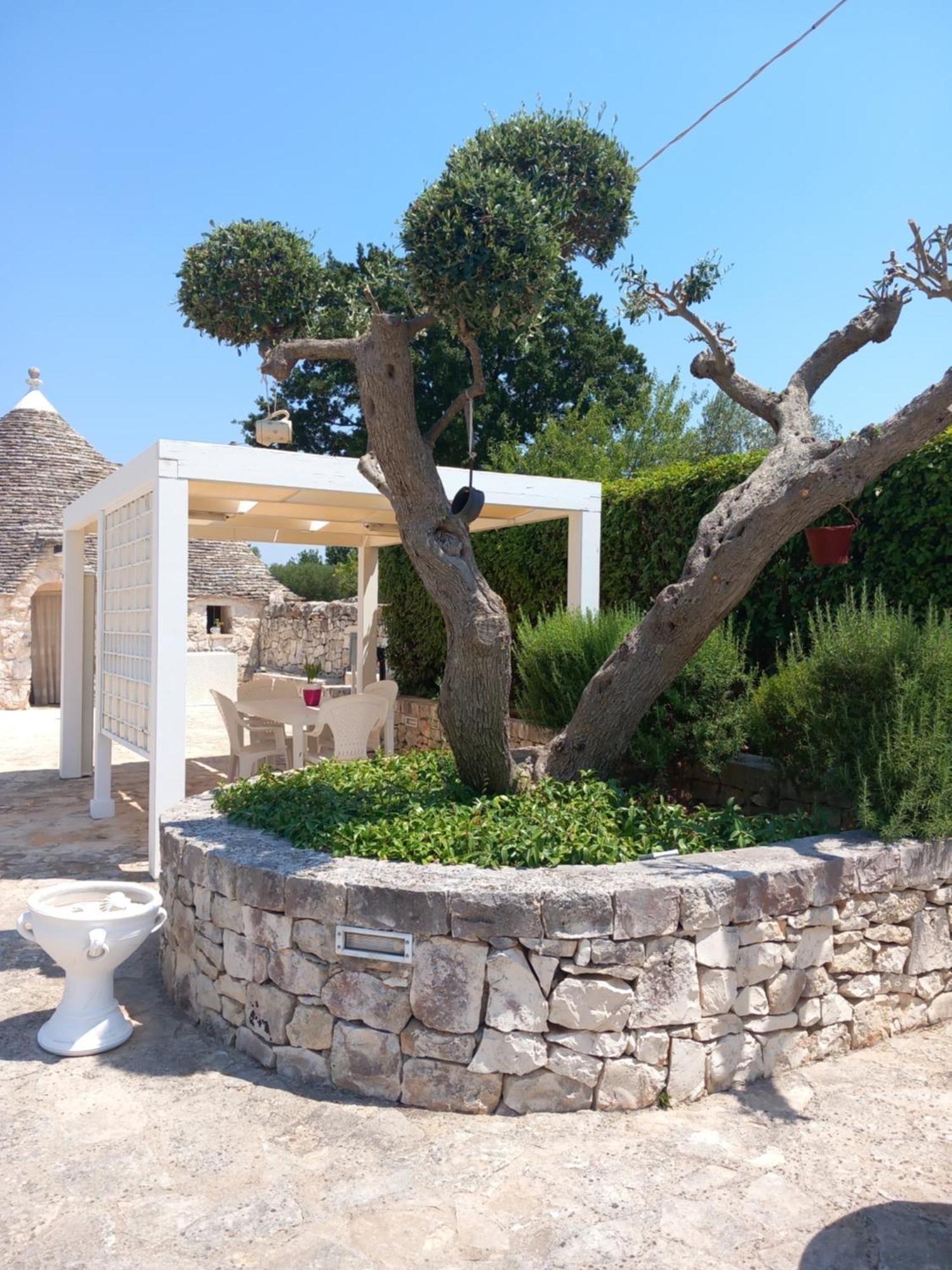 Pensjonat Trullo Monte Del Sale Alberobello Zewnętrze zdjęcie