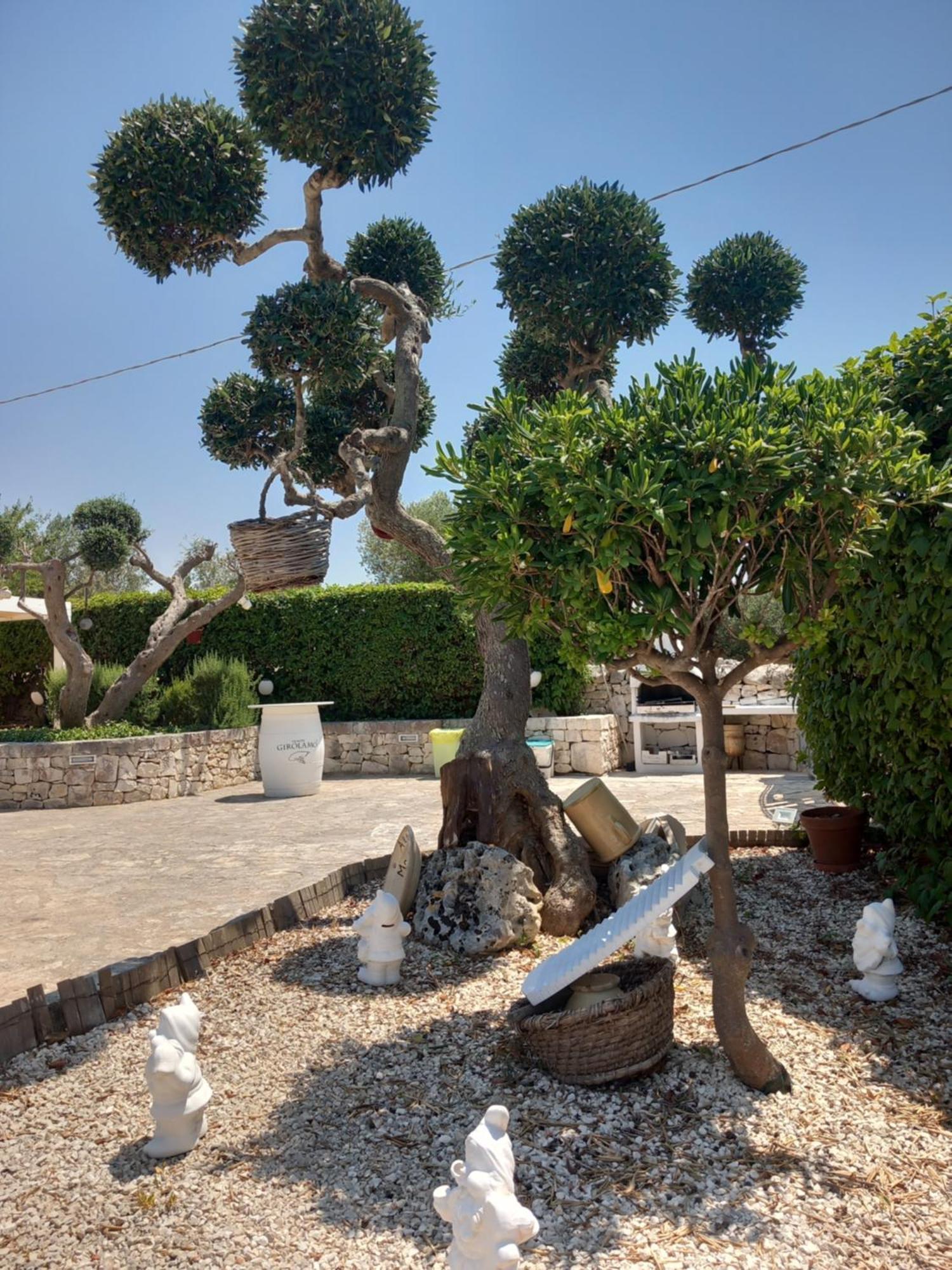 Pensjonat Trullo Monte Del Sale Alberobello Zewnętrze zdjęcie