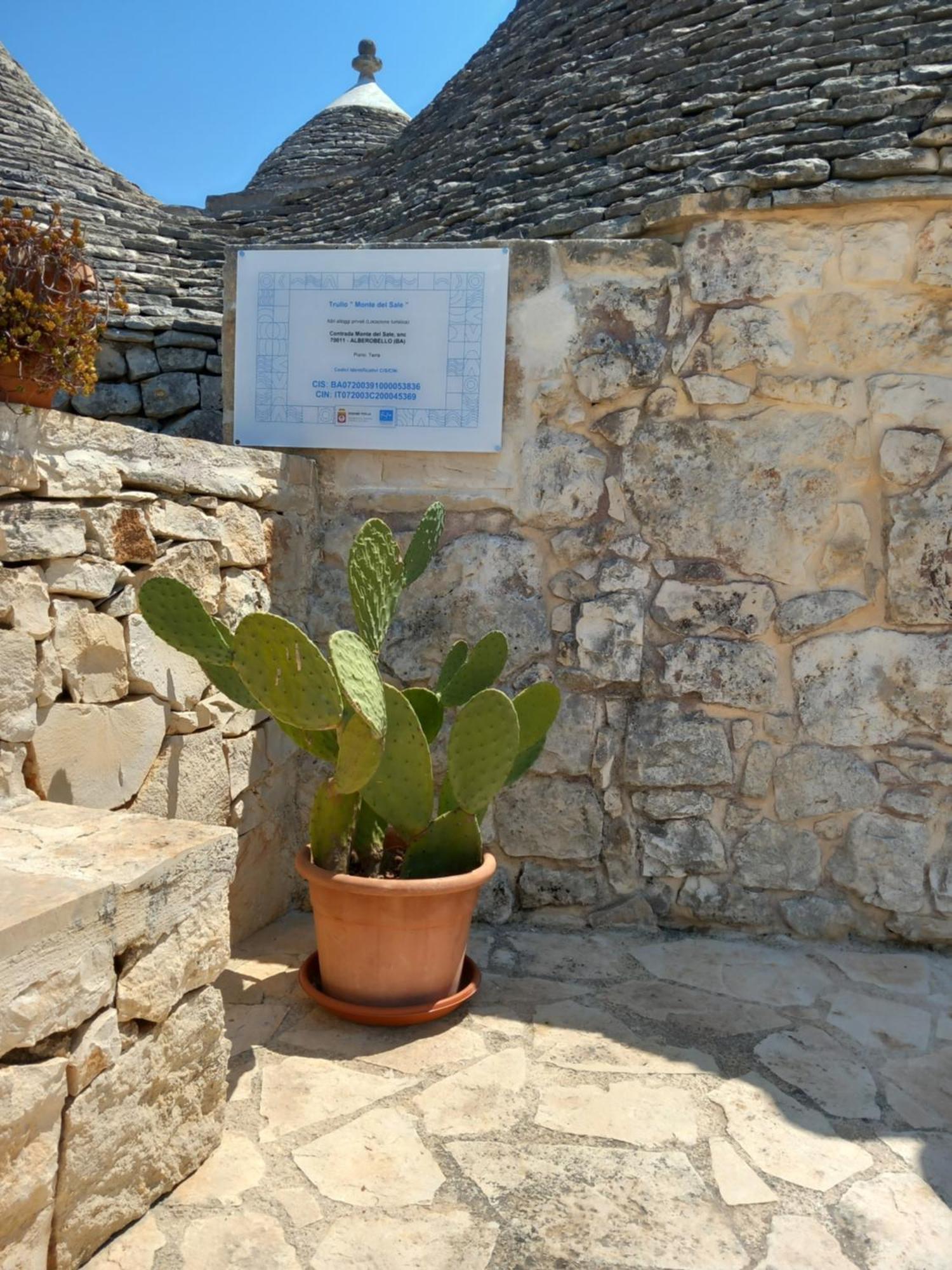 Pensjonat Trullo Monte Del Sale Alberobello Zewnętrze zdjęcie