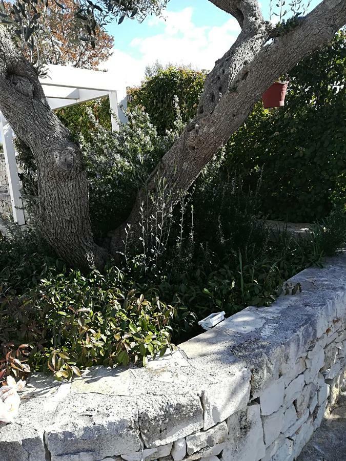 Pensjonat Trullo Monte Del Sale Alberobello Zewnętrze zdjęcie