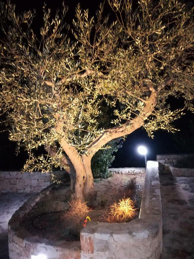 Pensjonat Trullo Monte Del Sale Alberobello Zewnętrze zdjęcie