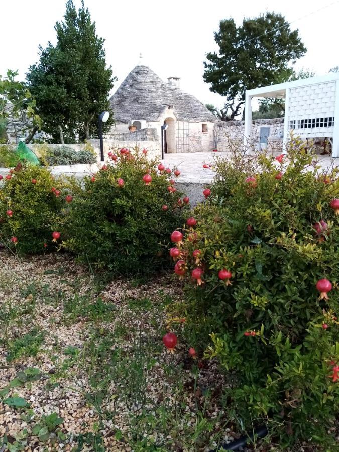 Pensjonat Trullo Monte Del Sale Alberobello Zewnętrze zdjęcie